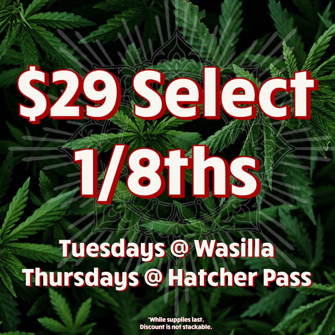 The Green Jar Deals Specials Happy Hour Loyalty